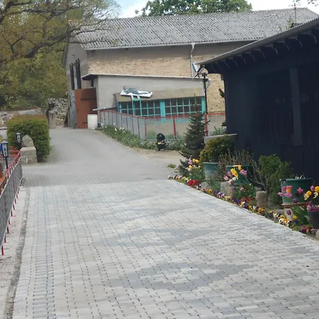 View In With Garden