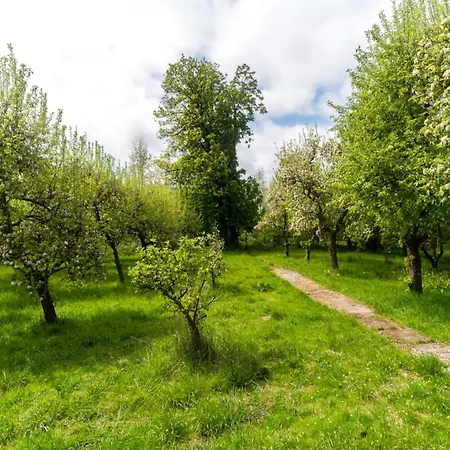 Lake-view In With Garden Апартаменты
