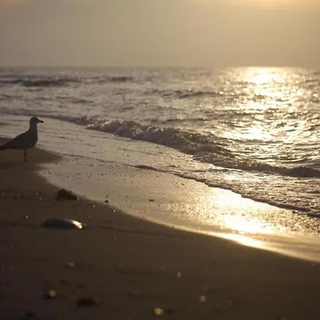 Lejlighed Lake-view In With Garden